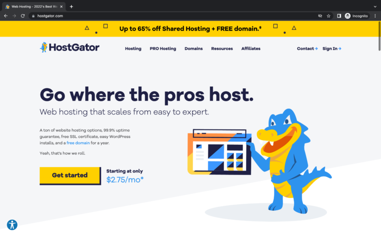 HostGator Web Hosting Review – With Best Offers
